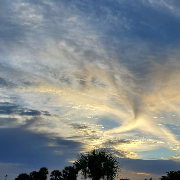 Meet your Posher, V - Picture 4 of 5